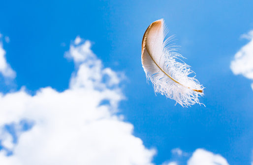 Floating feather in the sky.